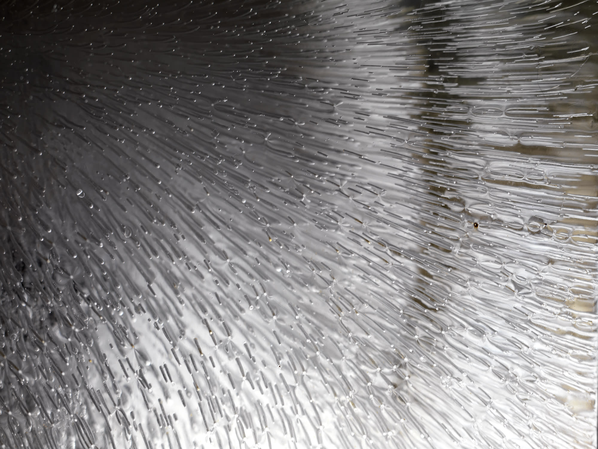 Alexander James Hamilton, Exodus of Cnidus, 2014-15