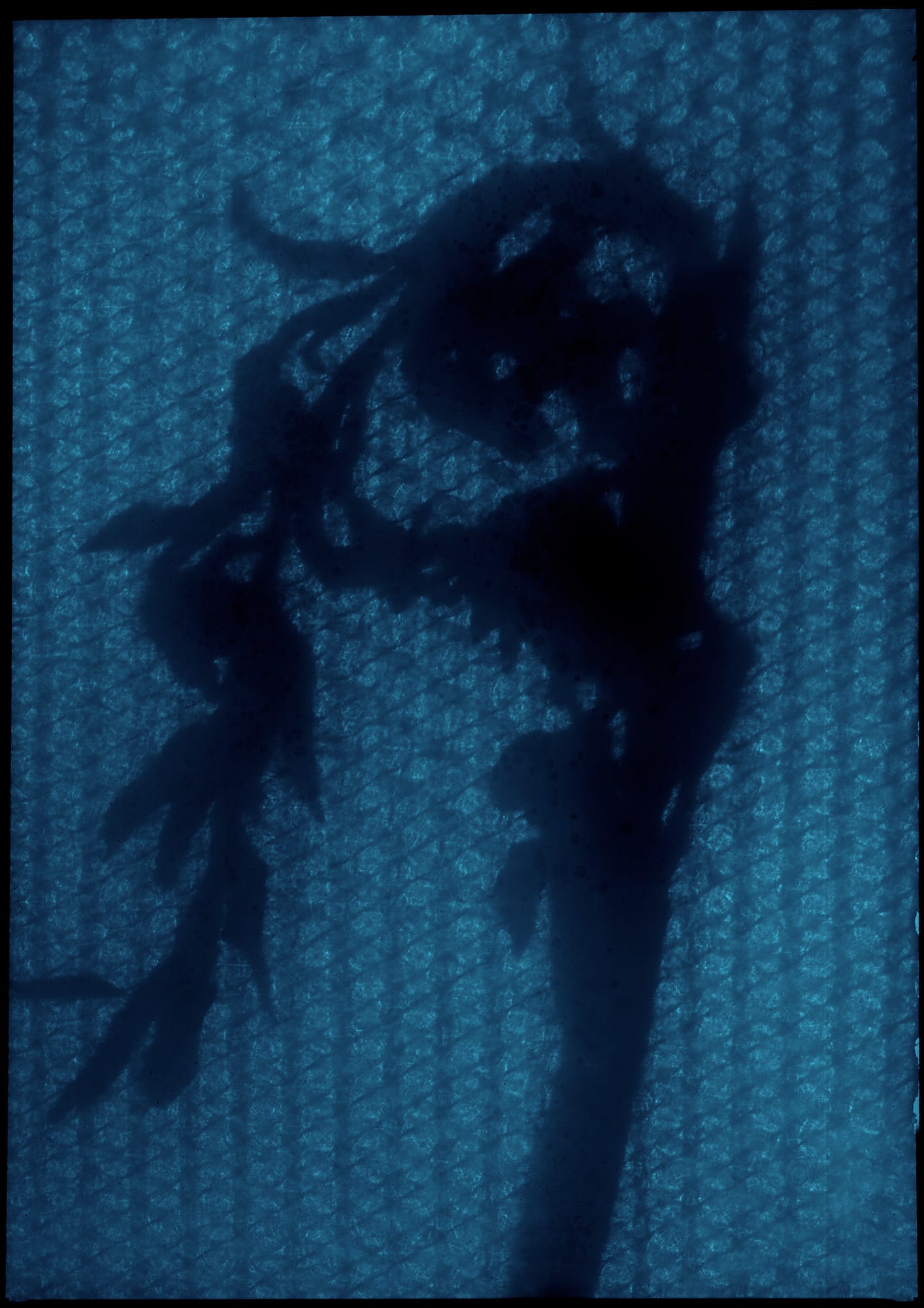 Alexander James Hamilton, Plate [069], 2017-18