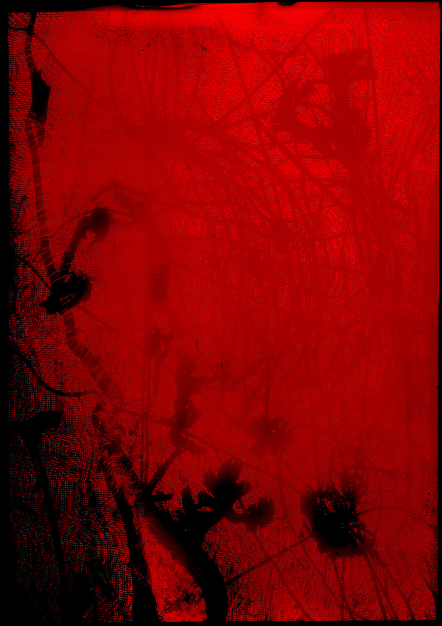 Alexander James Hamilton, Plate [081], 2017-18