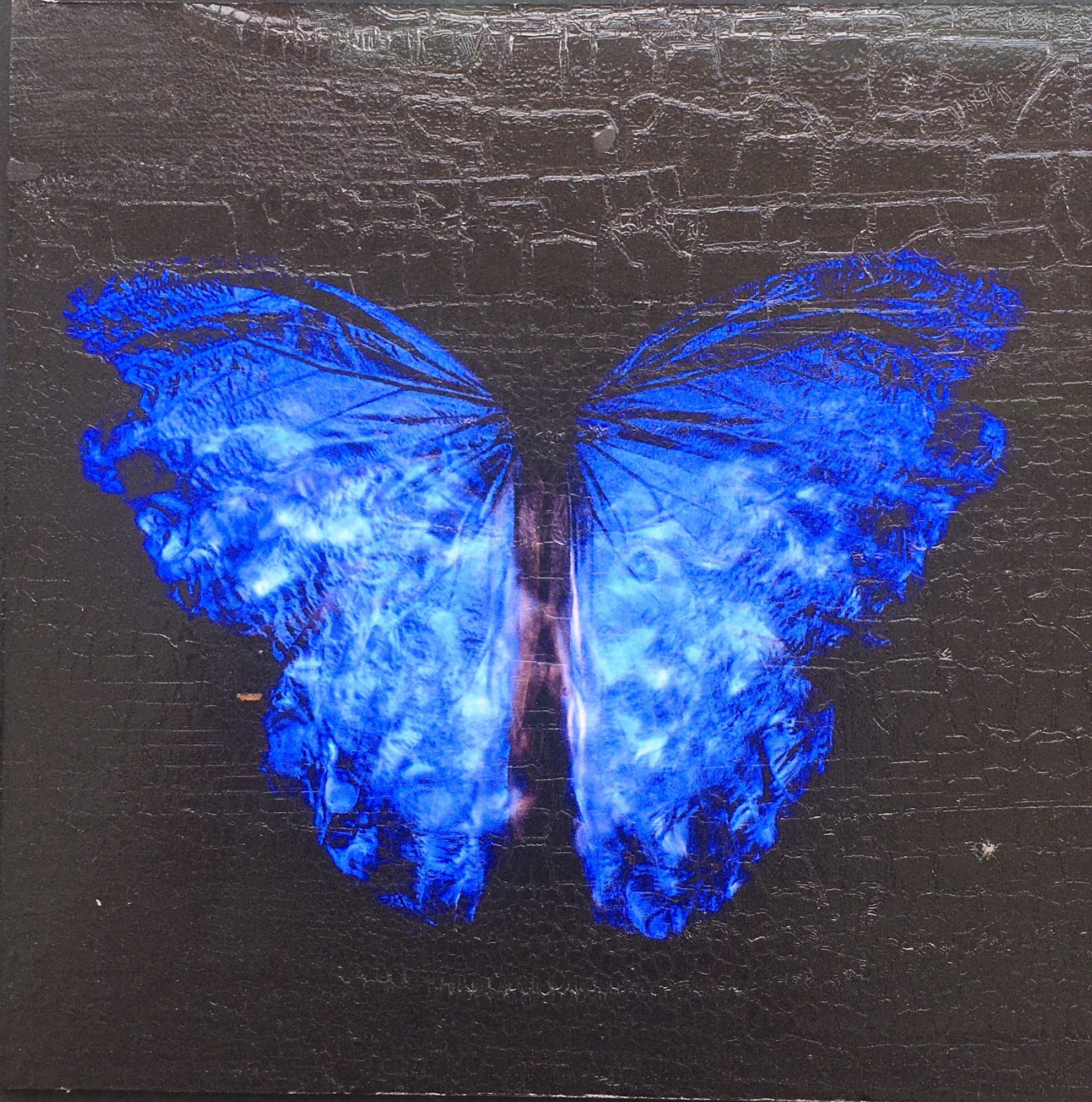 Alexander James Hamilton, Transparency of a Dream [2.0-VI], 2019