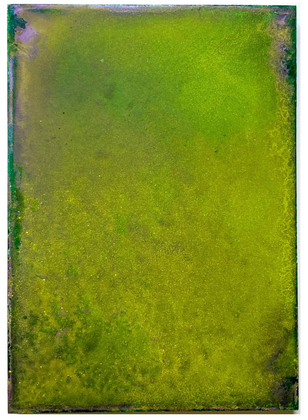 Asia Gelin, 2028-4, 2024