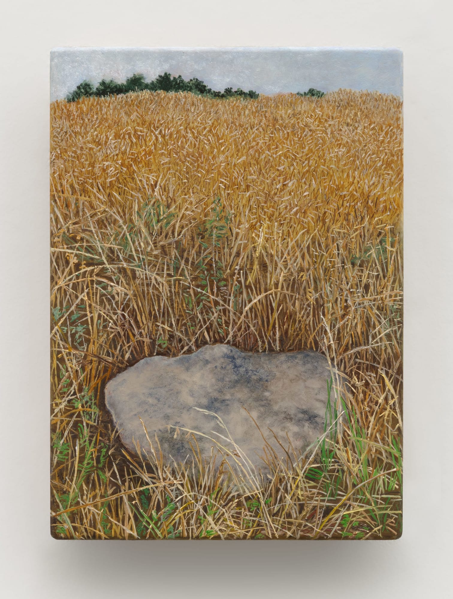Pam Posey, Field Stone, 2024