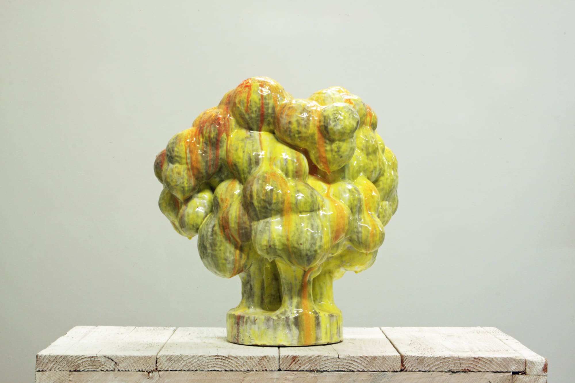 David Hicks, Yellow Shrub, 2020