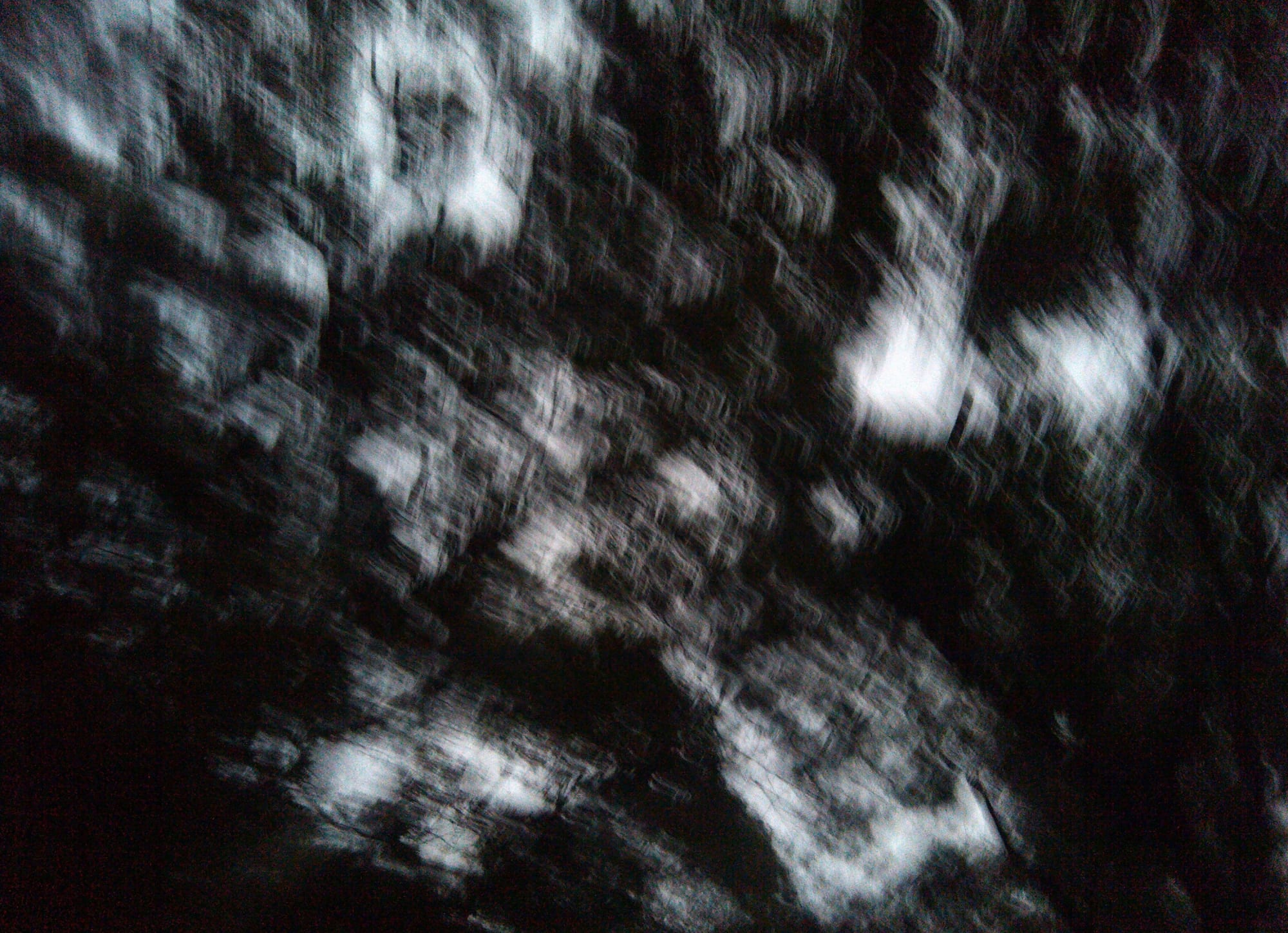 LEI Benben, Shadow of the Tree 树影 8, 2012