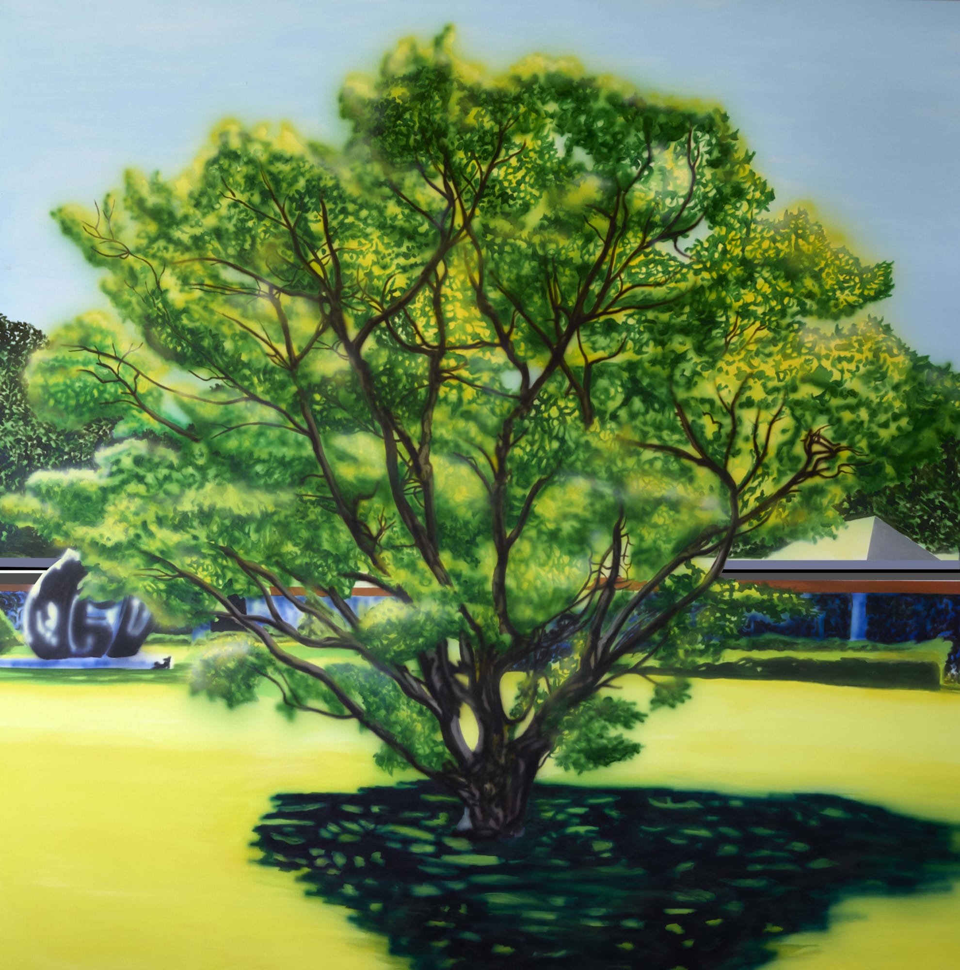 Eamon O'Kane, Louisiana Tree, 2018