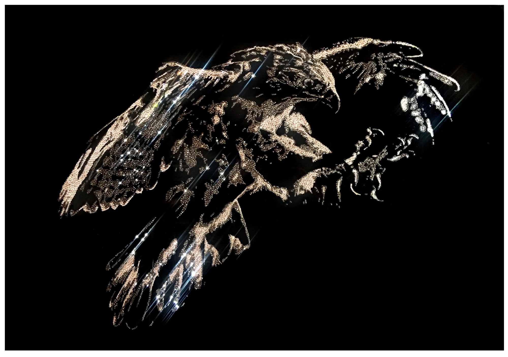 Roberta Diazzi, I Will Get You, 2017