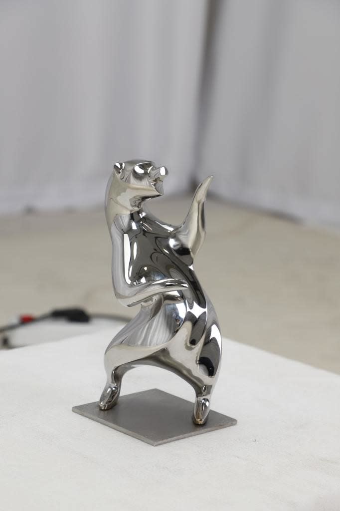 Masoud Akhavanjam, Natura, 2020