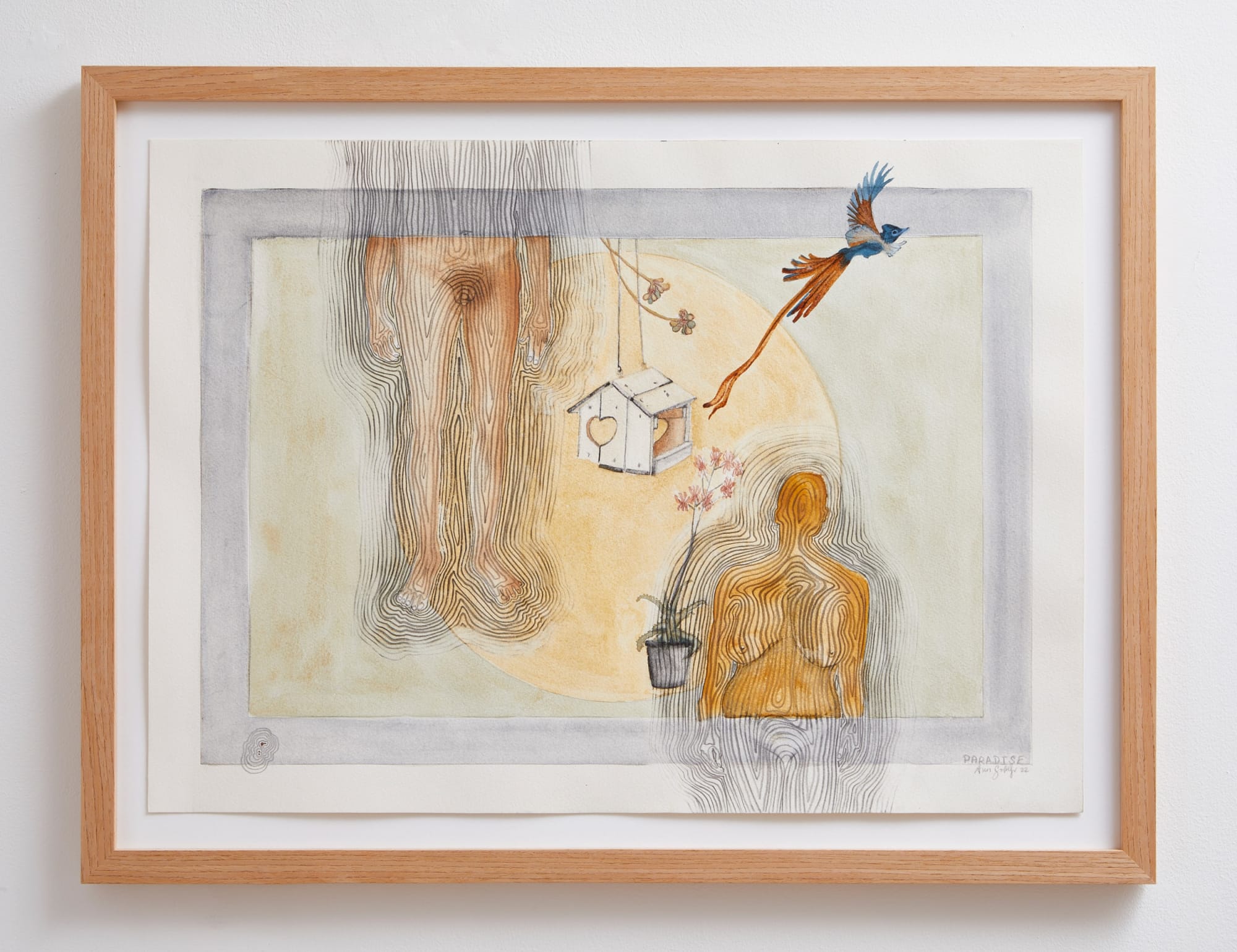 Ann Gollifer, Paradise, 2022