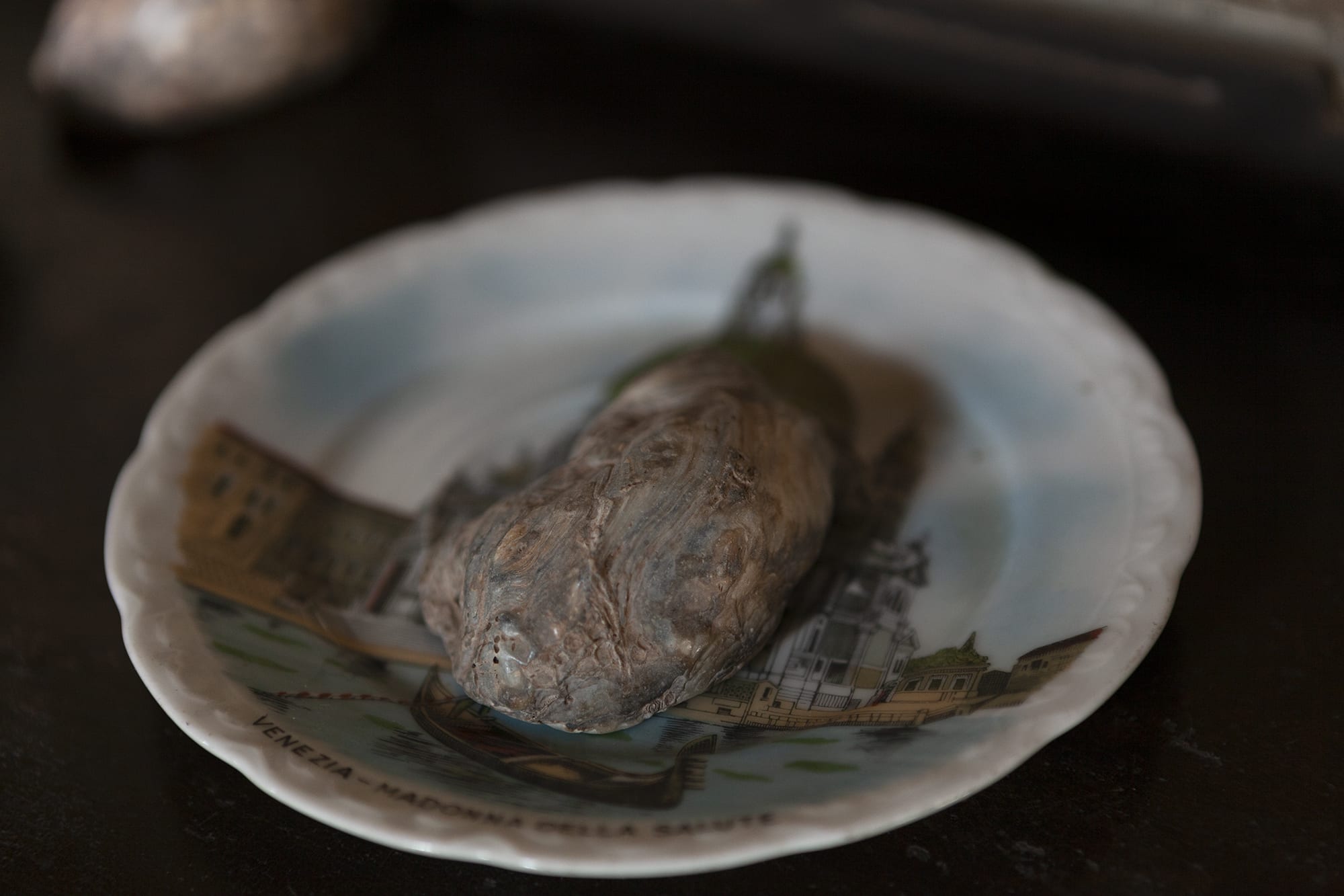 Shiraz Bayjoo, Meu Coracao, 2020