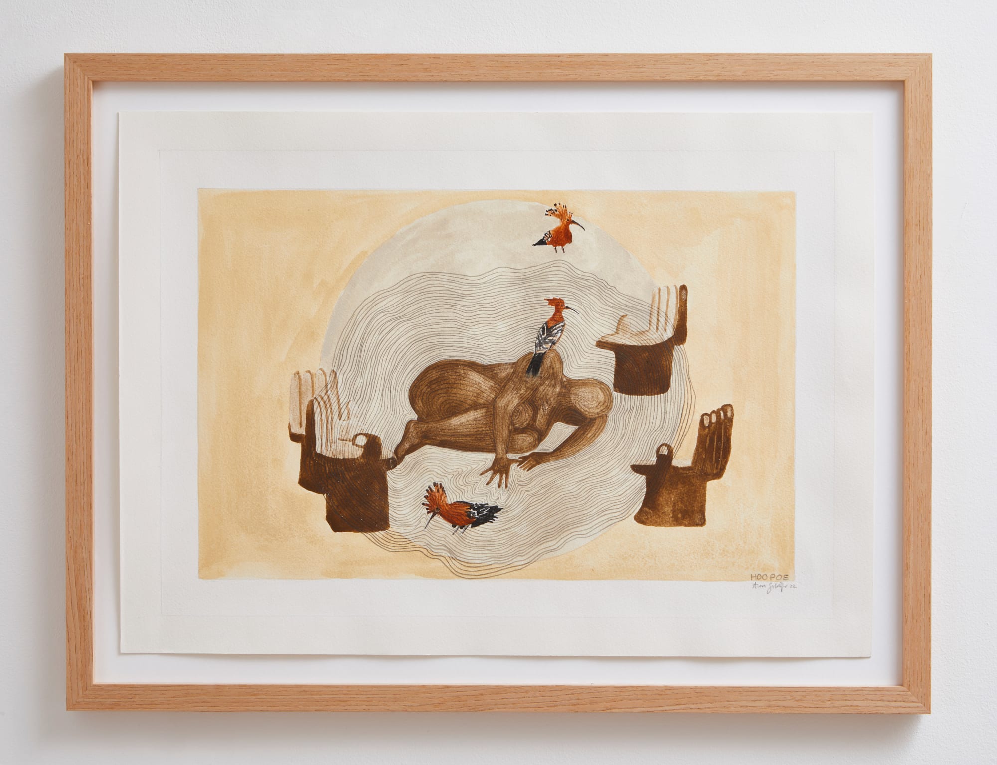 Ann Gollifer, Hoopoe, 2022