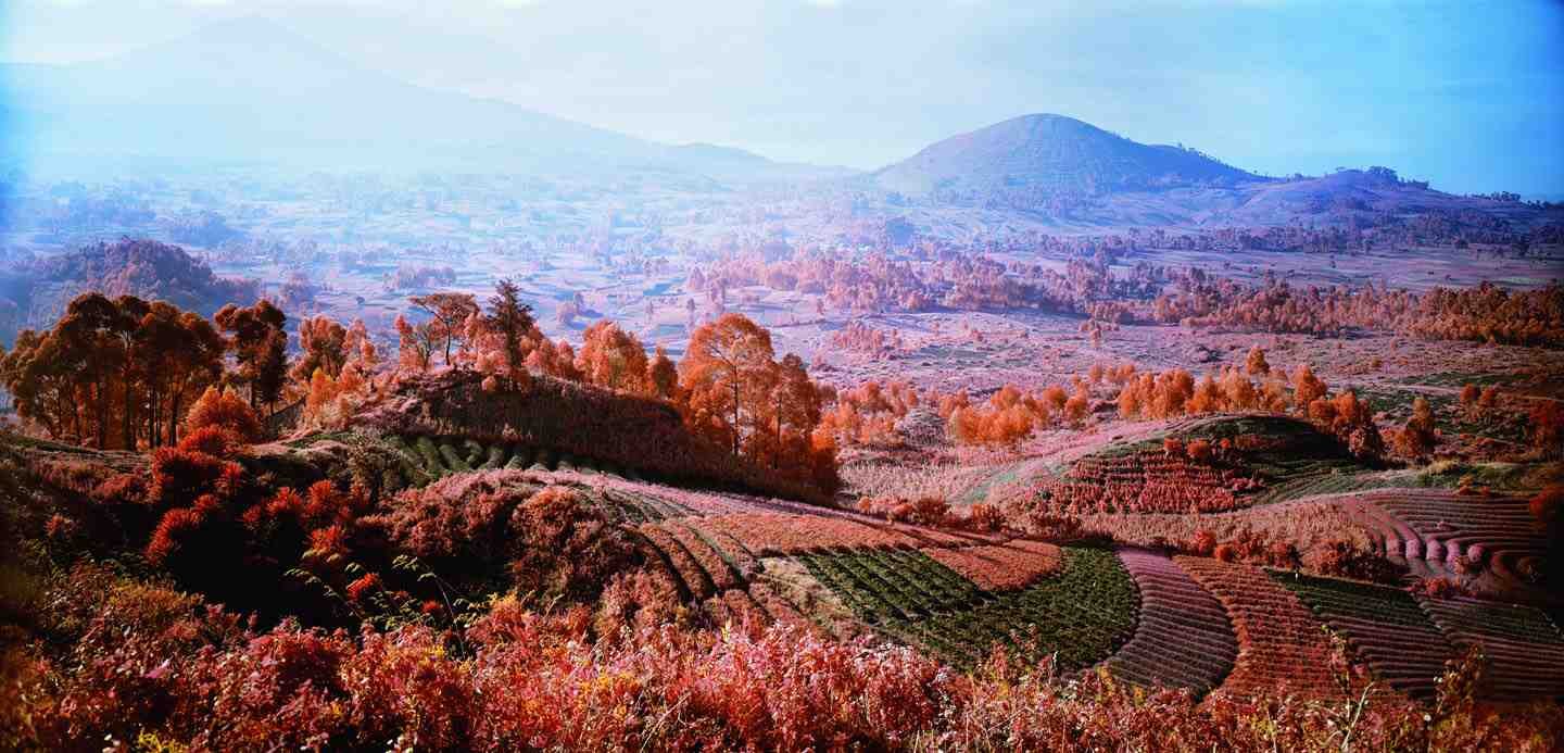 Richard Mosse, A Thousand Plateaus, 2011
