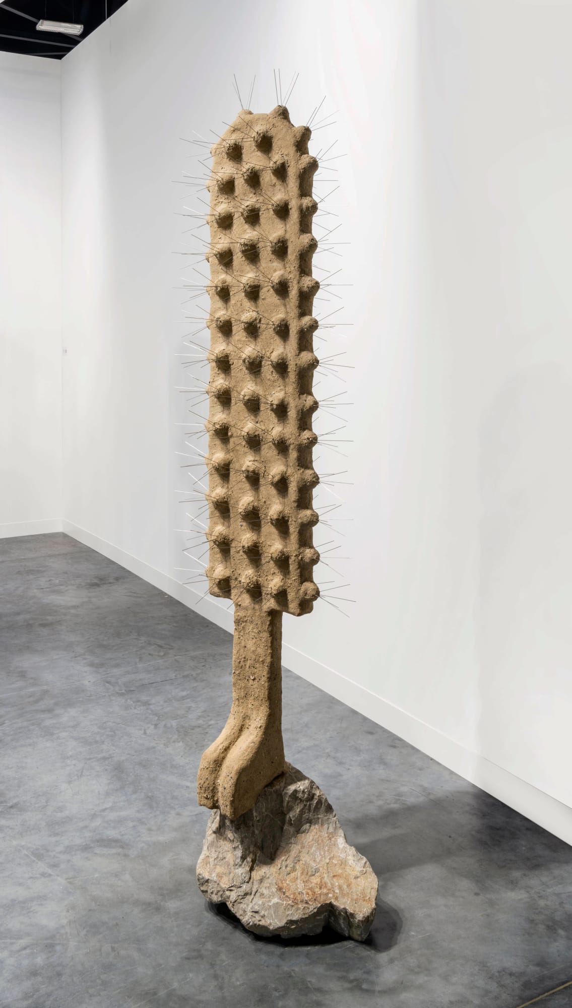 Oren Pinhassi, Touch Me Not, 2022