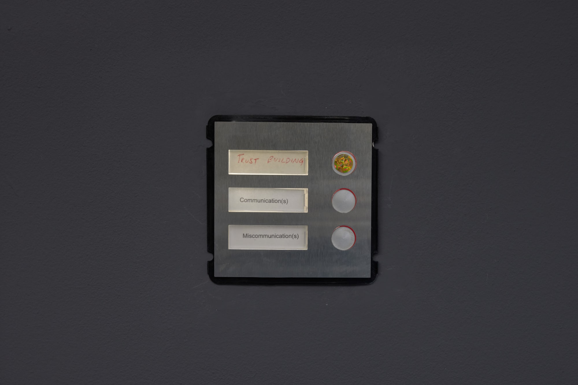 Jenkin van Zyl, P.E.E.P. buzzer v, 2023