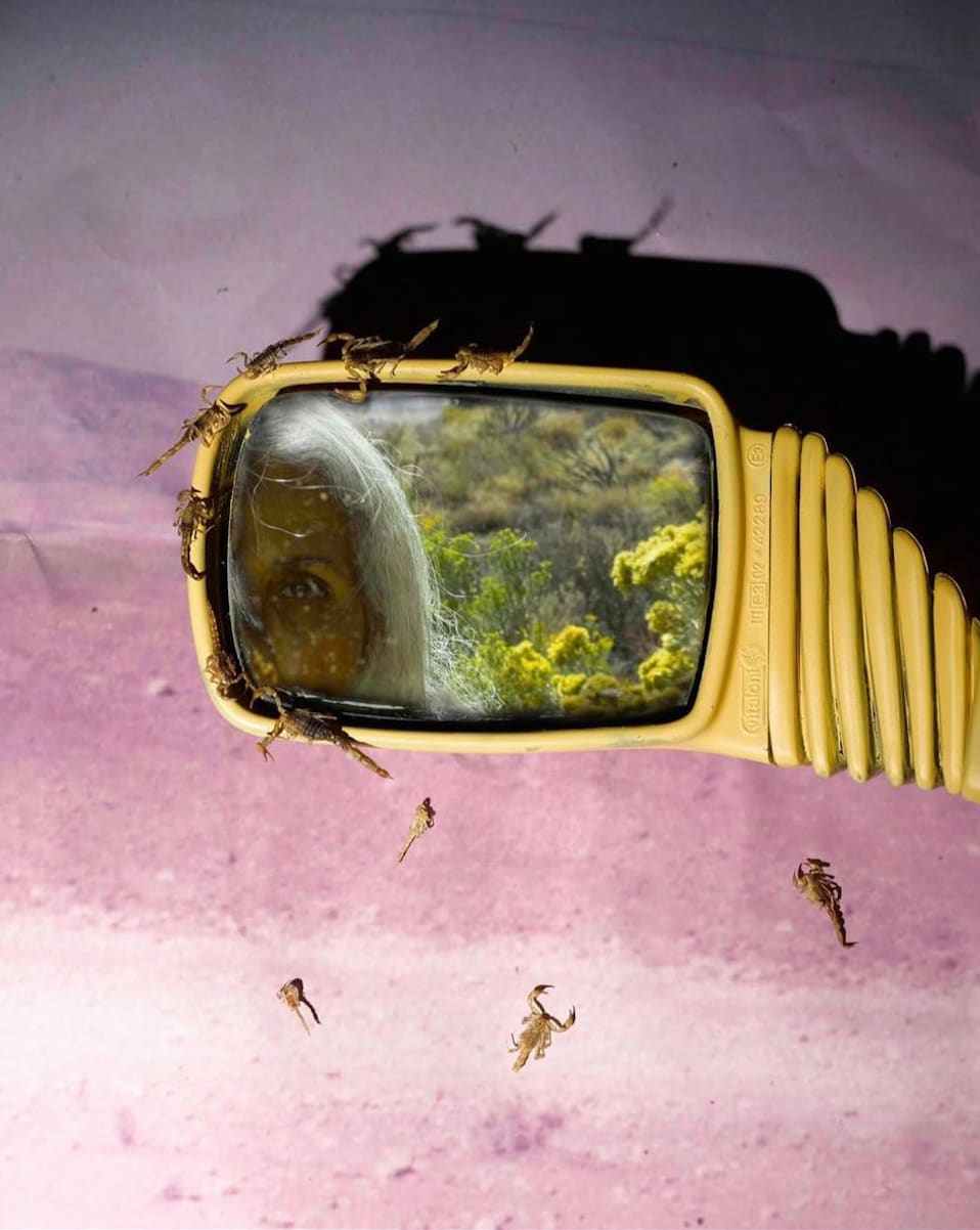 Sheida Soleimani, Deltang, 2023