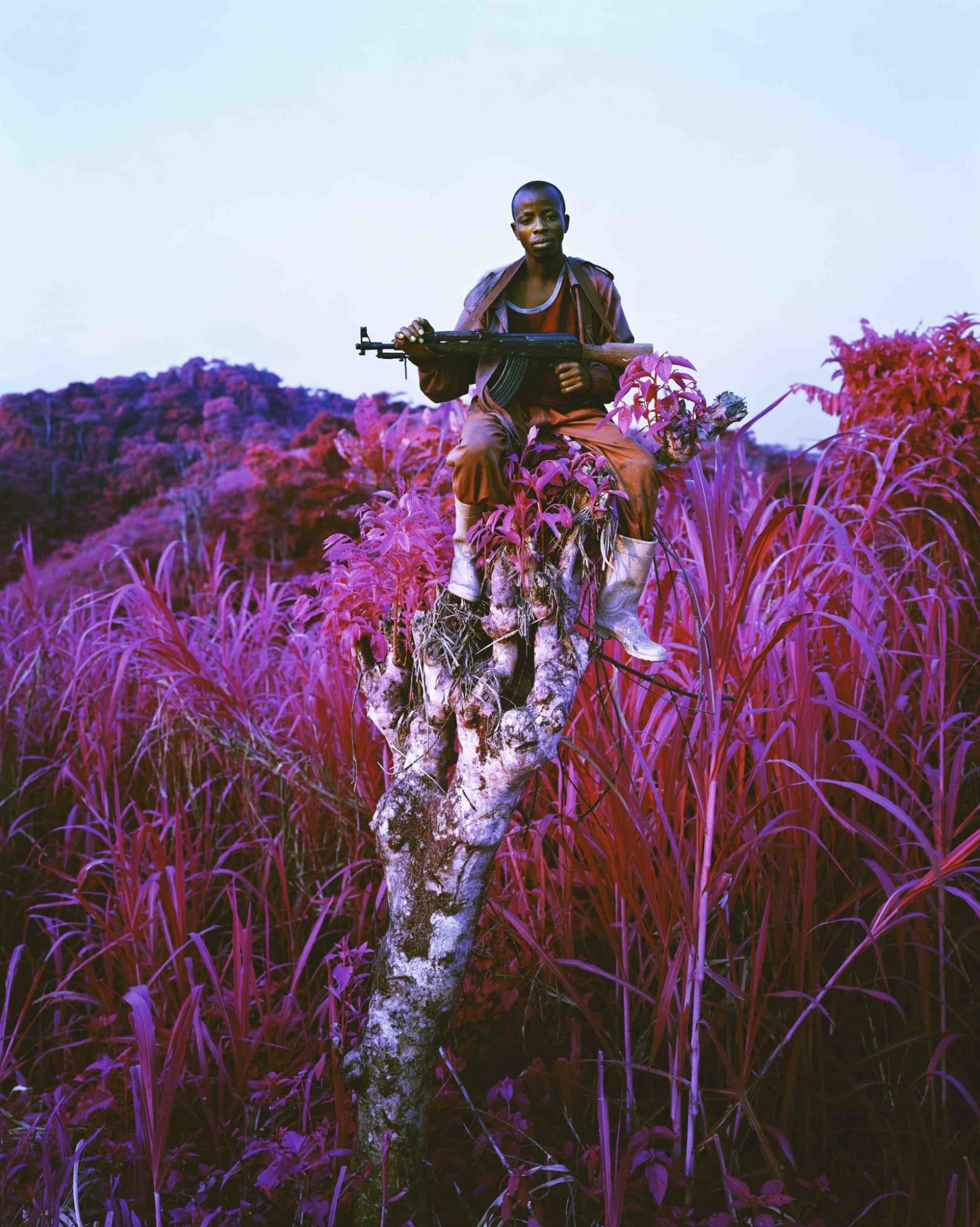 Richard Mosse, Higher Ground, 2012