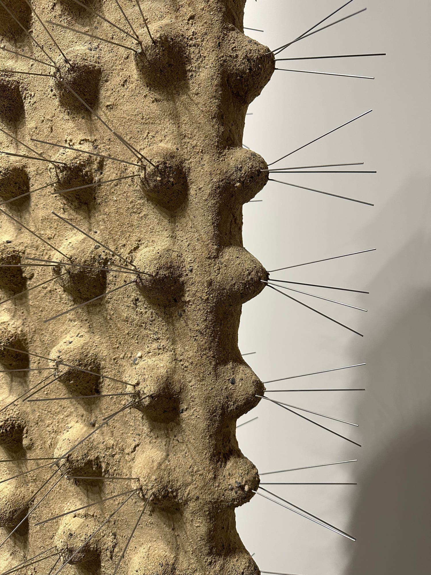 Oren Pinhassi, Touch Me Not, 2022