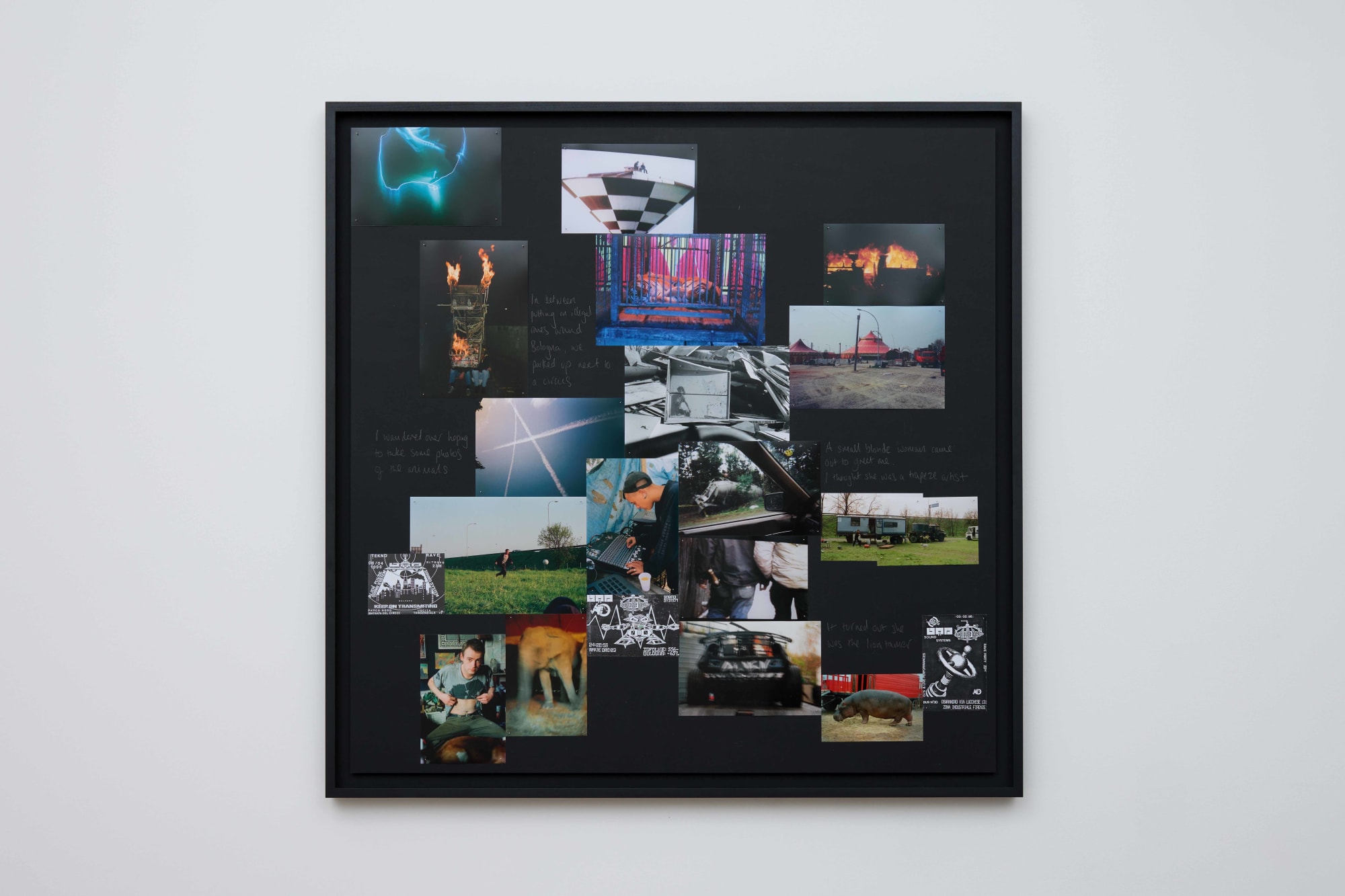 Vinca Petersen, Parco Nord, 2023