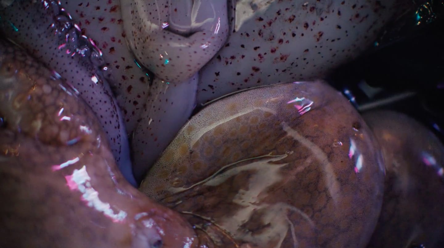 Jes Fan, Xenophoria, 2018-2020