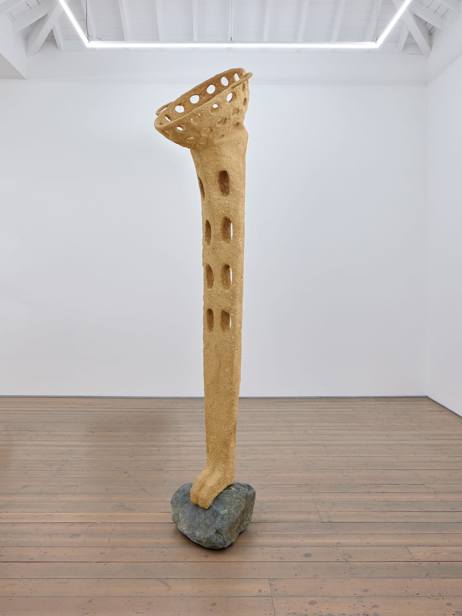 Oren Pinhassi, Whole Hole Hole Whole, 2024