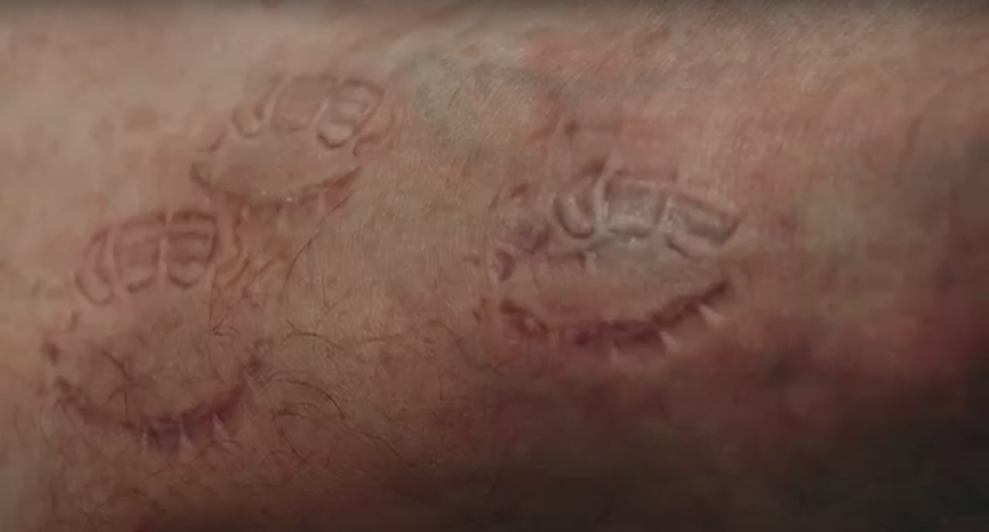 Lukas Hofmann, S.C.L. (Skin Come Leather), 2019