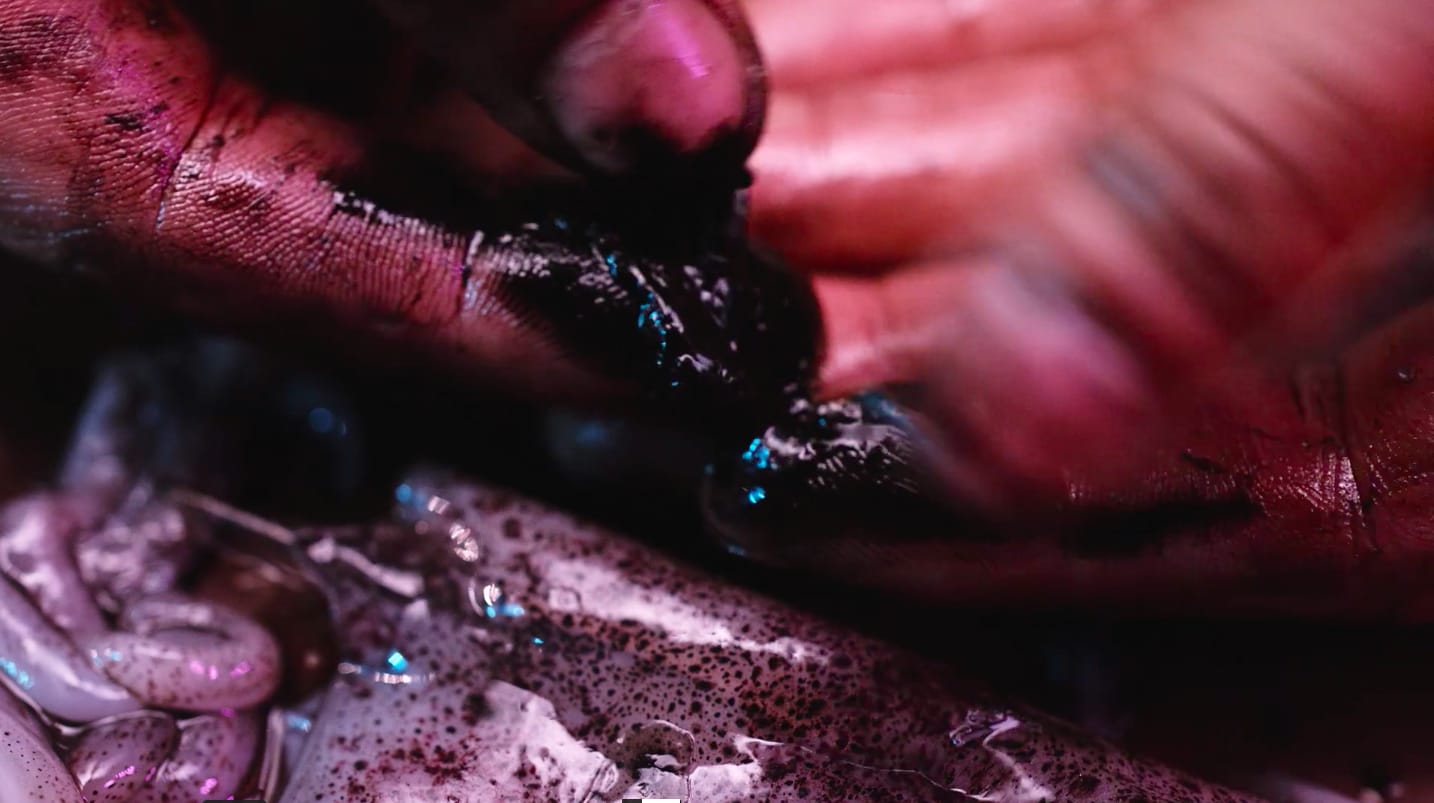 Jes Fan, Xenophoria, 2018-2020