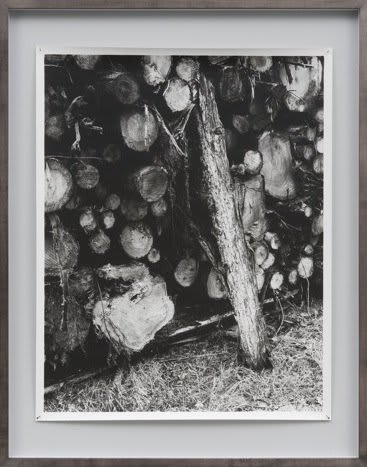 Stuart Bailes, The Empiricist, 2011