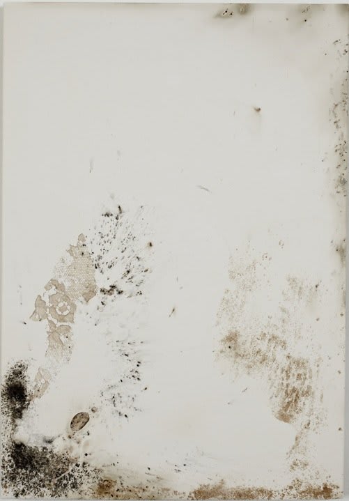 Jodie Carey, Untitled XVII, 2011