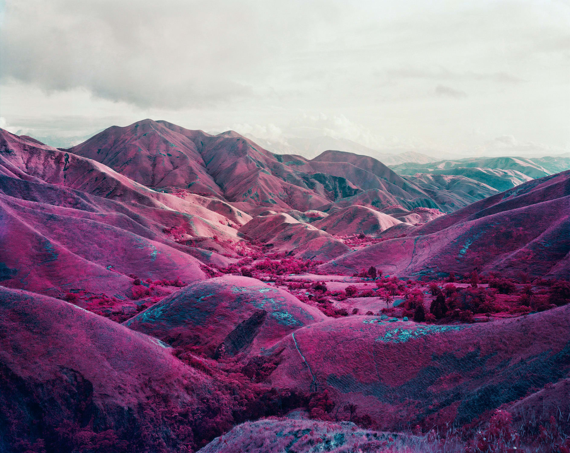 Richard Mosse, Nowhere to Run, South Kivu, Eastern Congo, 2010