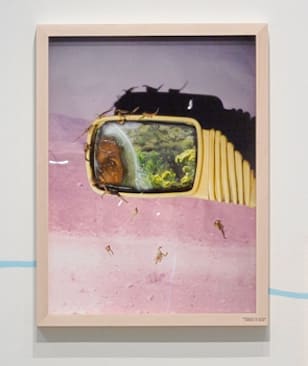 Sheida Soleimani, Deltang, 2023