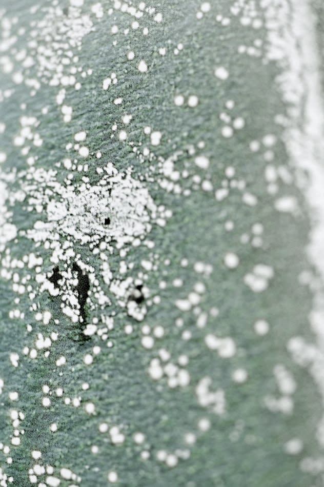 Thomas Zika, Bathers, #9, 2003