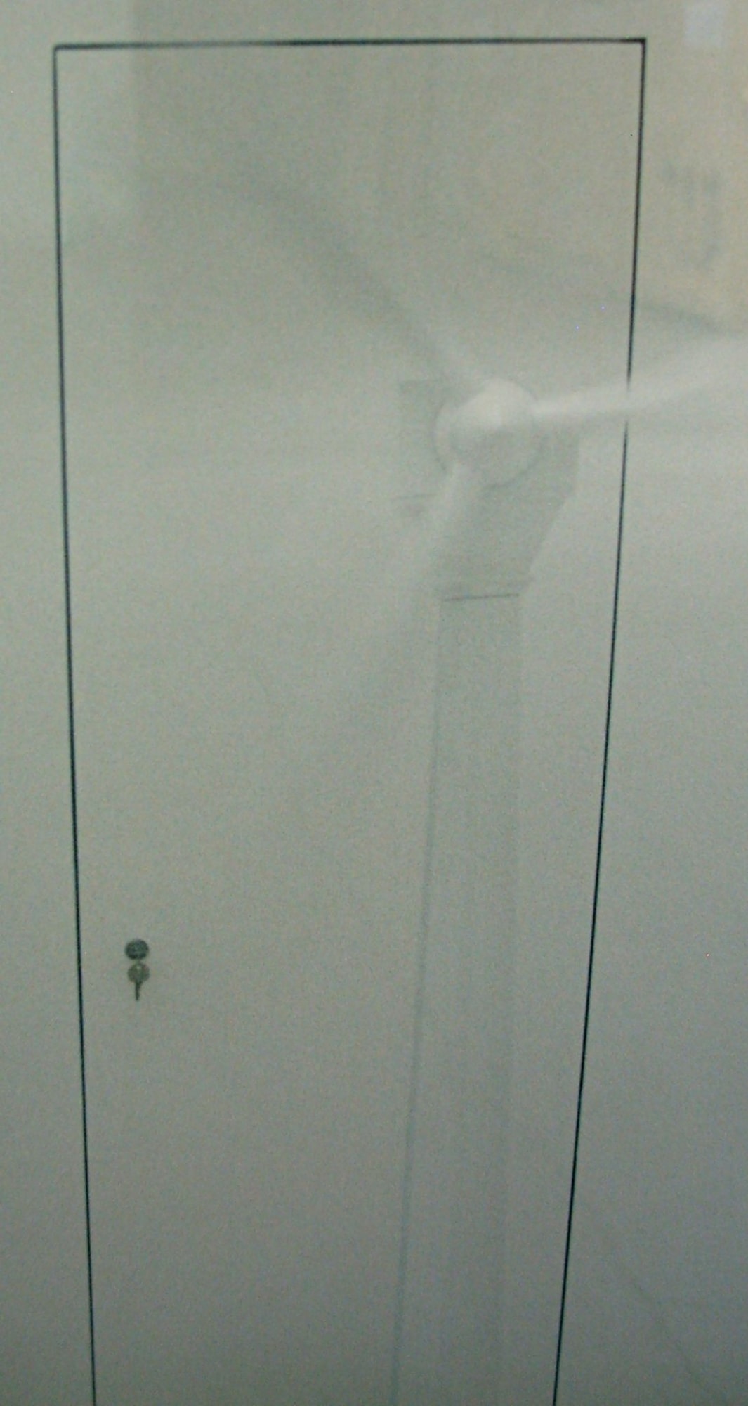 Thomas Zika, Bathers, #5, 2003