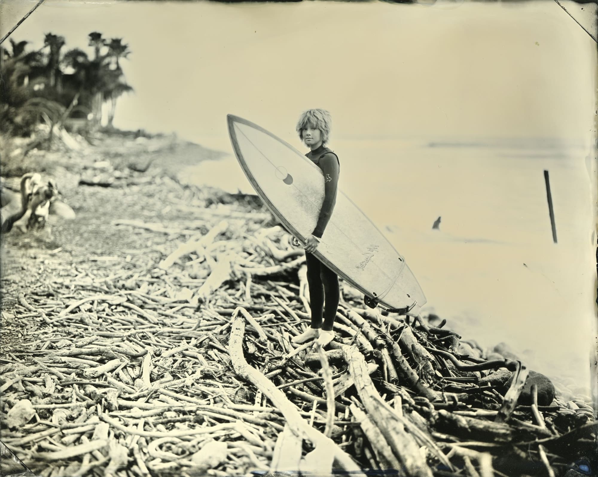 Joni Sternbach, William (Rincon), 2007