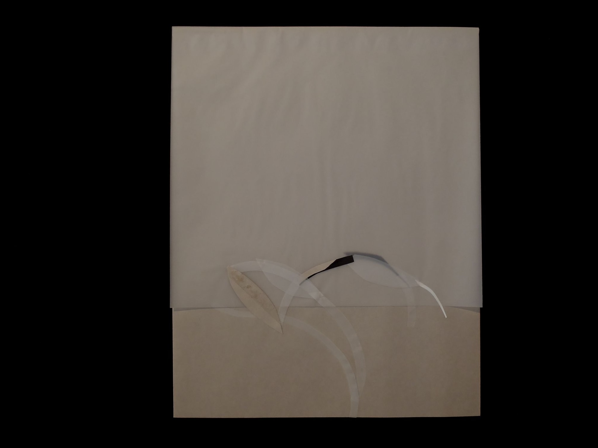 Steve DeGroodt, Hortus Botanicus #552, 2003