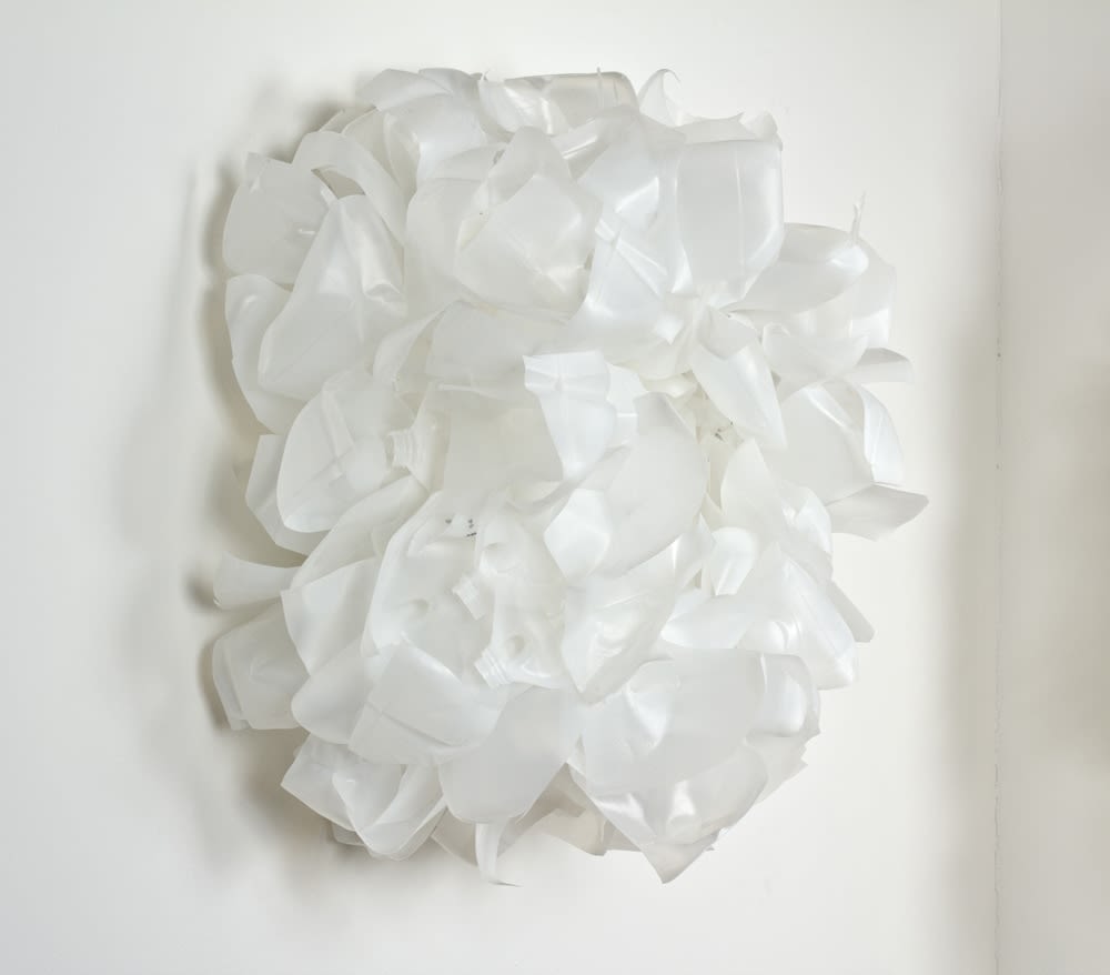 Steve Schmidt, Gyre #5, 2013