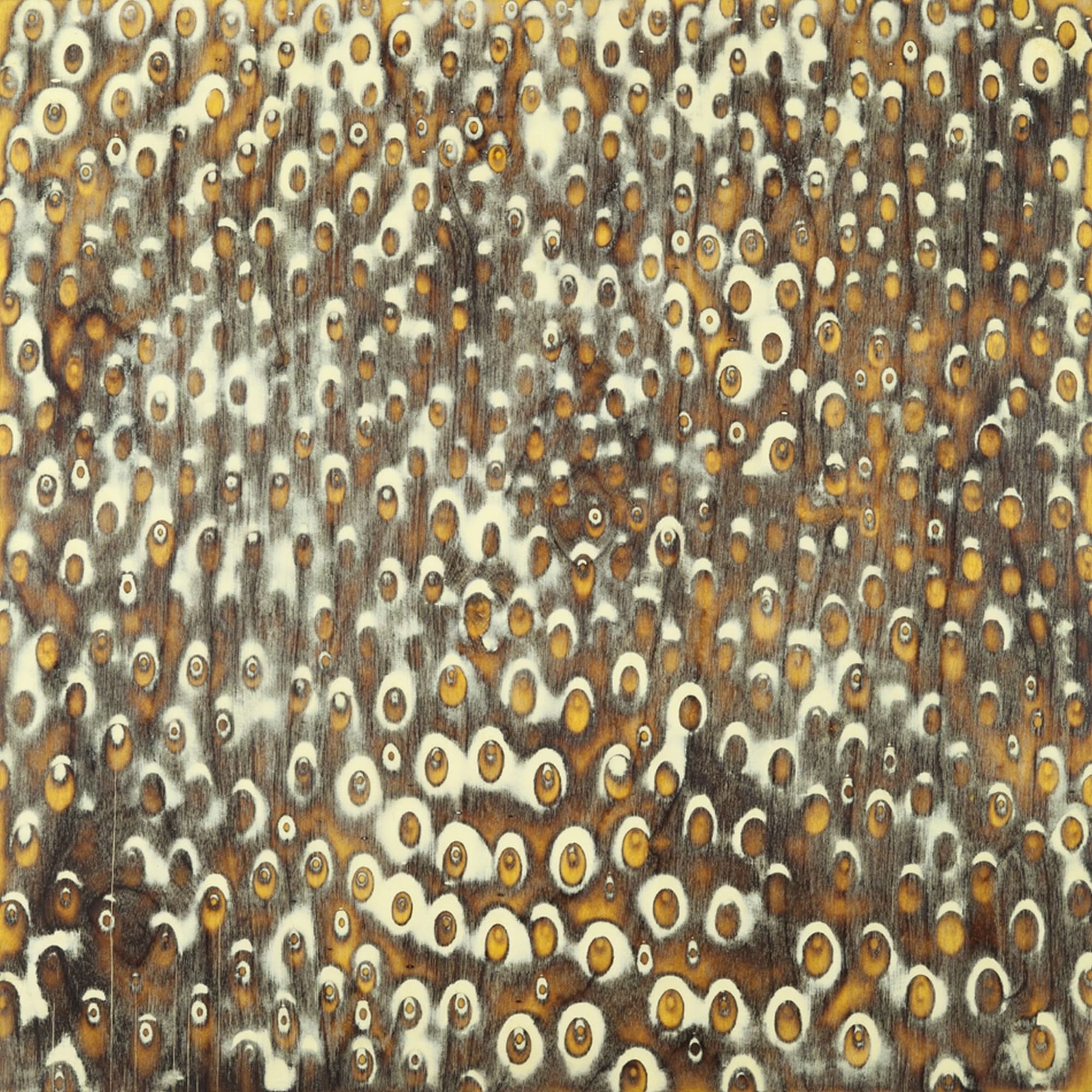 Brad Miller, Field, 2011