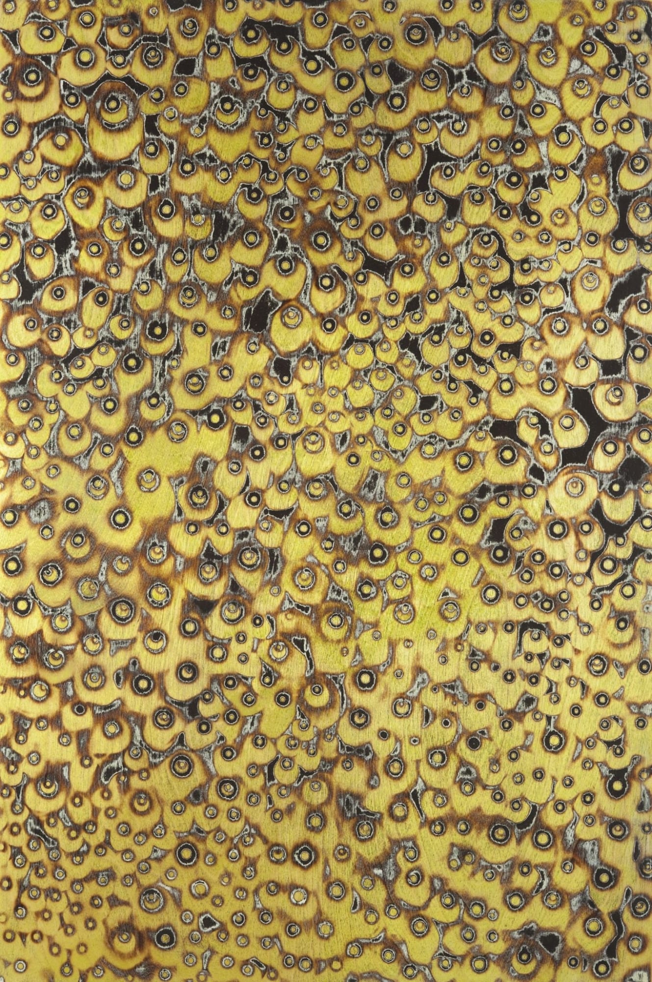 Brad Miller, Normal, 2010