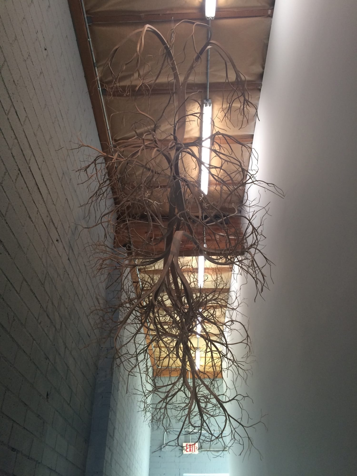 Pontus Willfors, Filtered Light, 2015