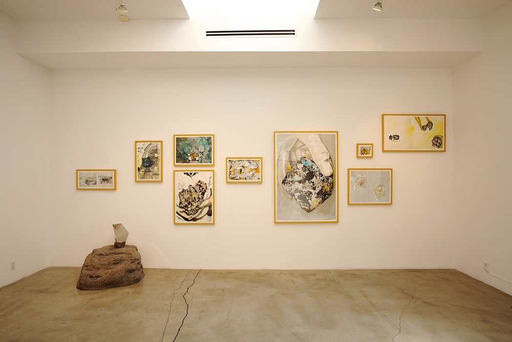 Adam Berg, Evidence 6, 2010