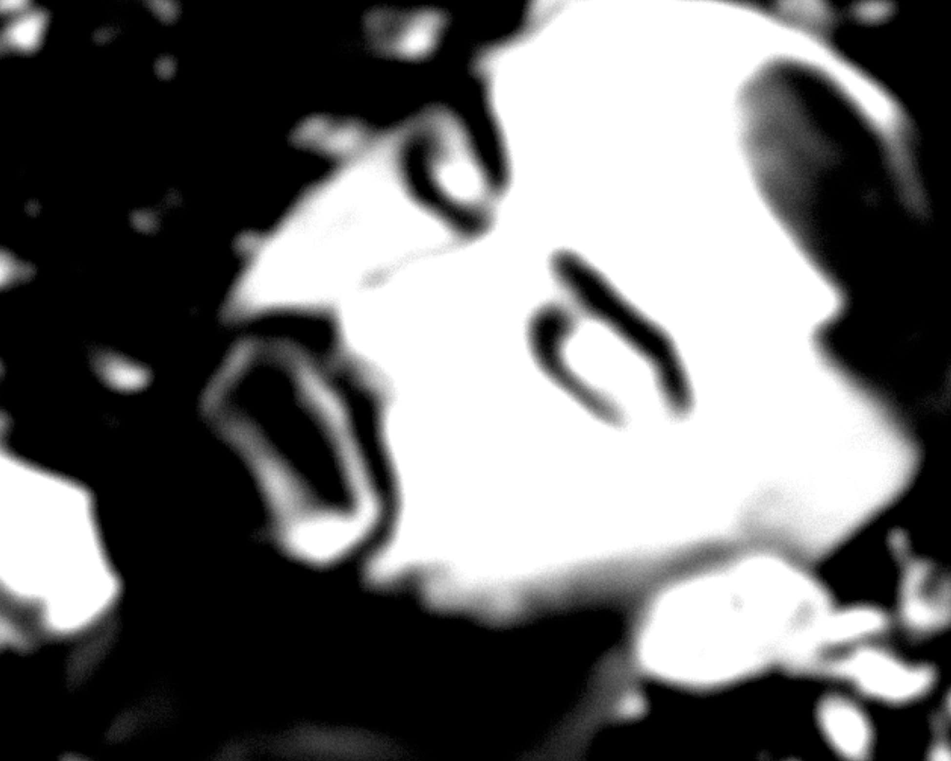 Wilder Buck, Ecstasy, 4.1, 2009