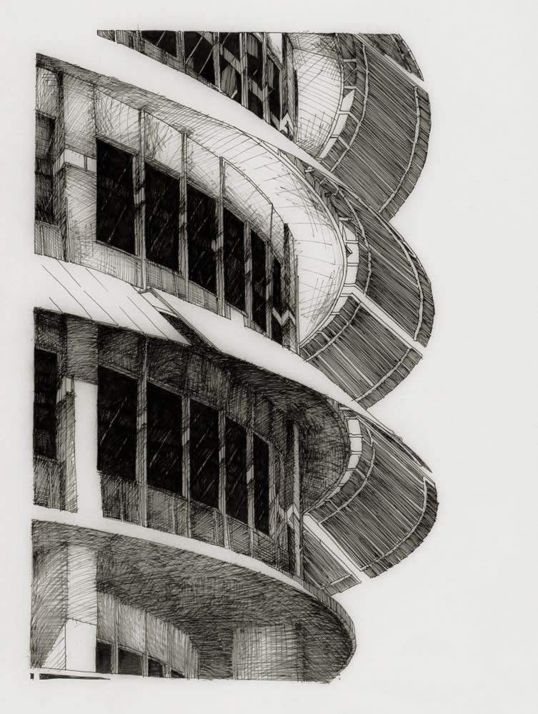 Deborah Aschheim, Capitol No. 3 (Windows Facing Vine), 2010