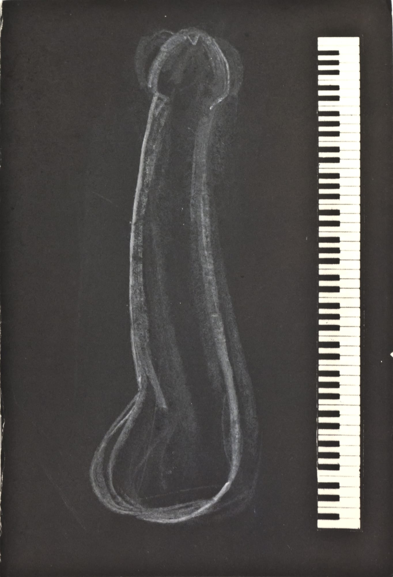 Richard Prince, Untitled, (Penis Book), c. 1980