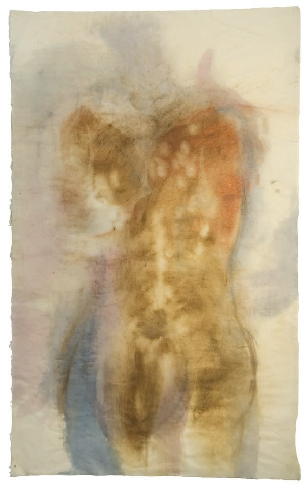 Mary Heebner, Where can Guillermina be? Donde estarala Guillermina, 2008