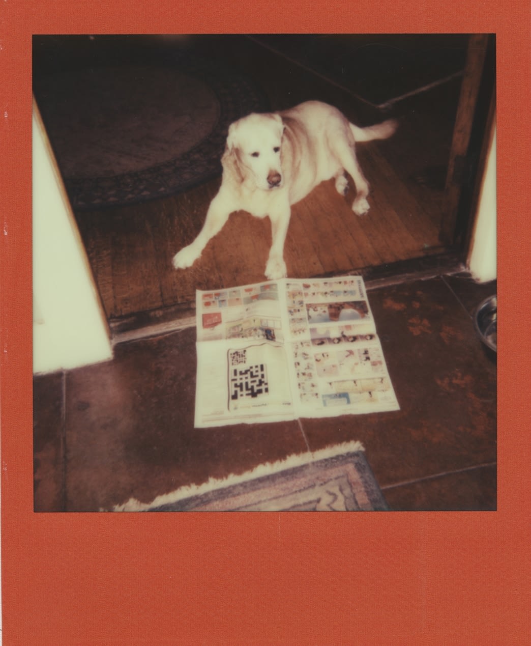 Stuart Sandford, Mac reading the funnies, 2014