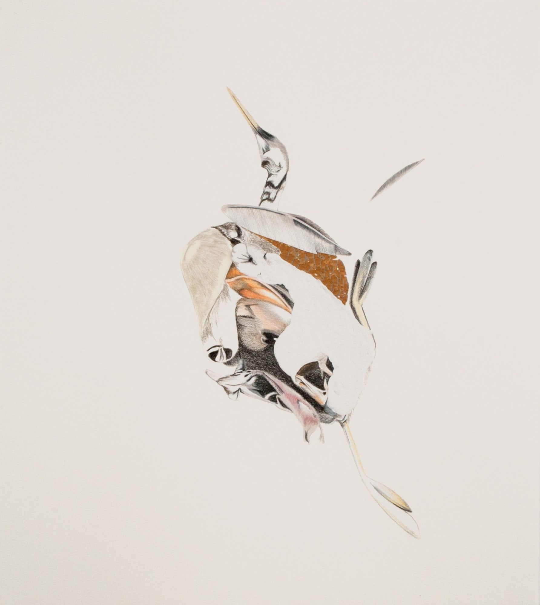 Andre Yi, Dead Bird Study #1, 2012