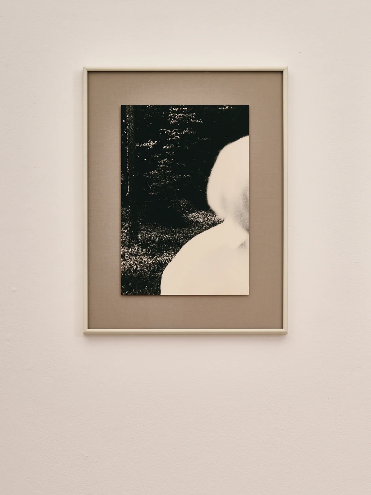 Wondering People, Mikael Siirilä, Untitled (Forest), 2022