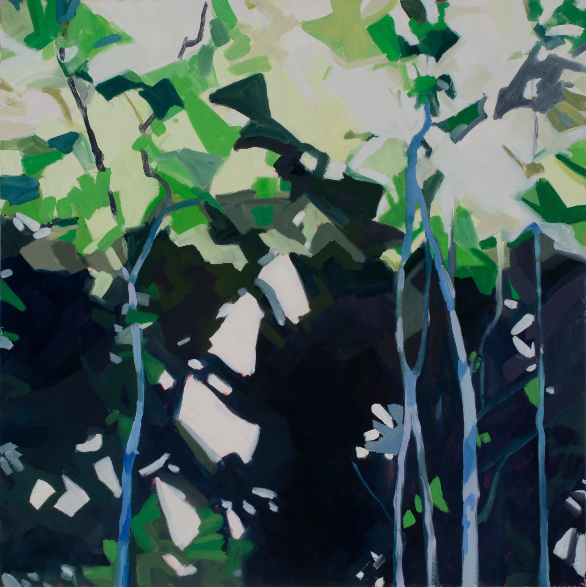 Anne Ireland, Broken Light