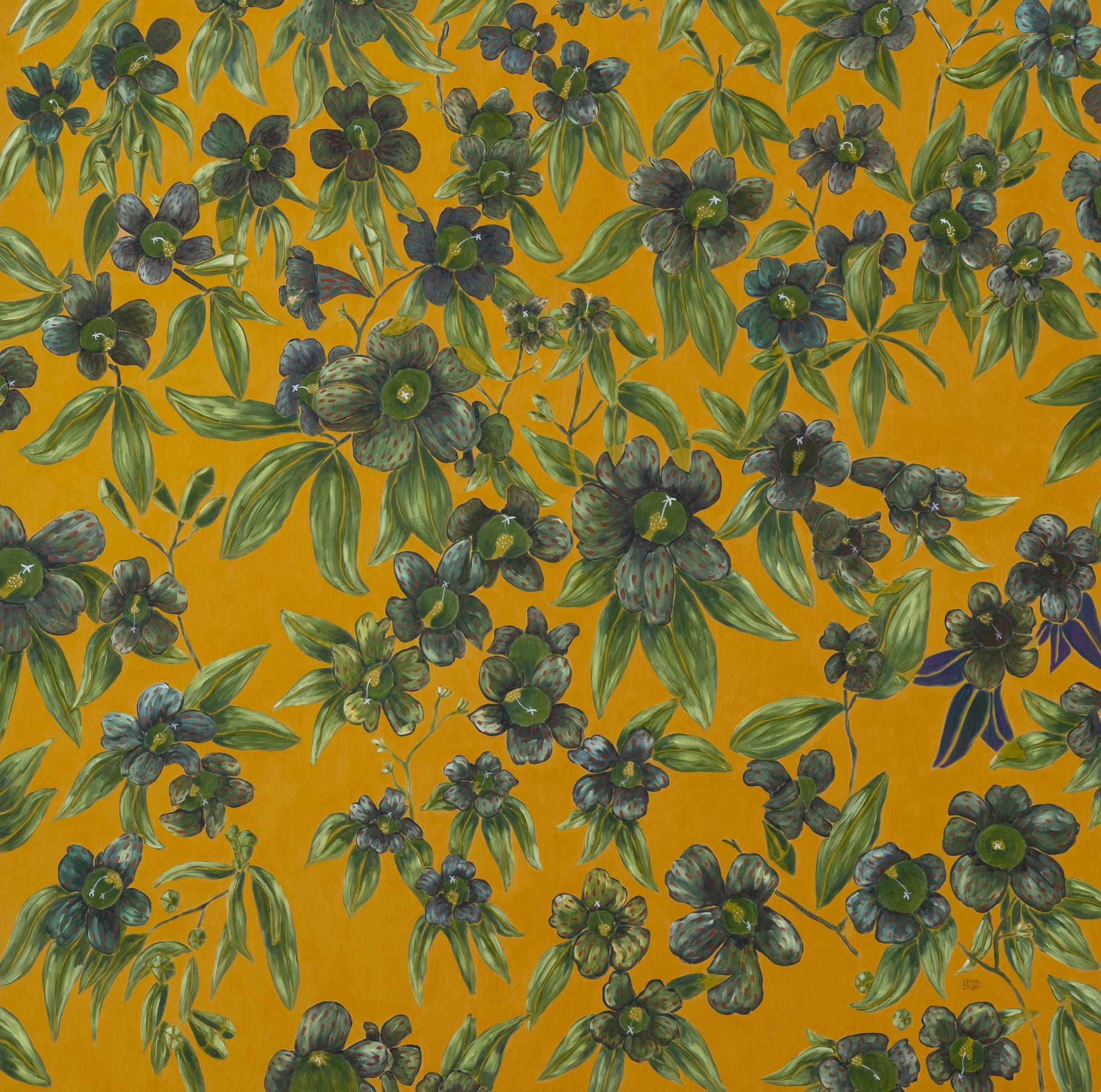 Lynn Sisler, Anomaly