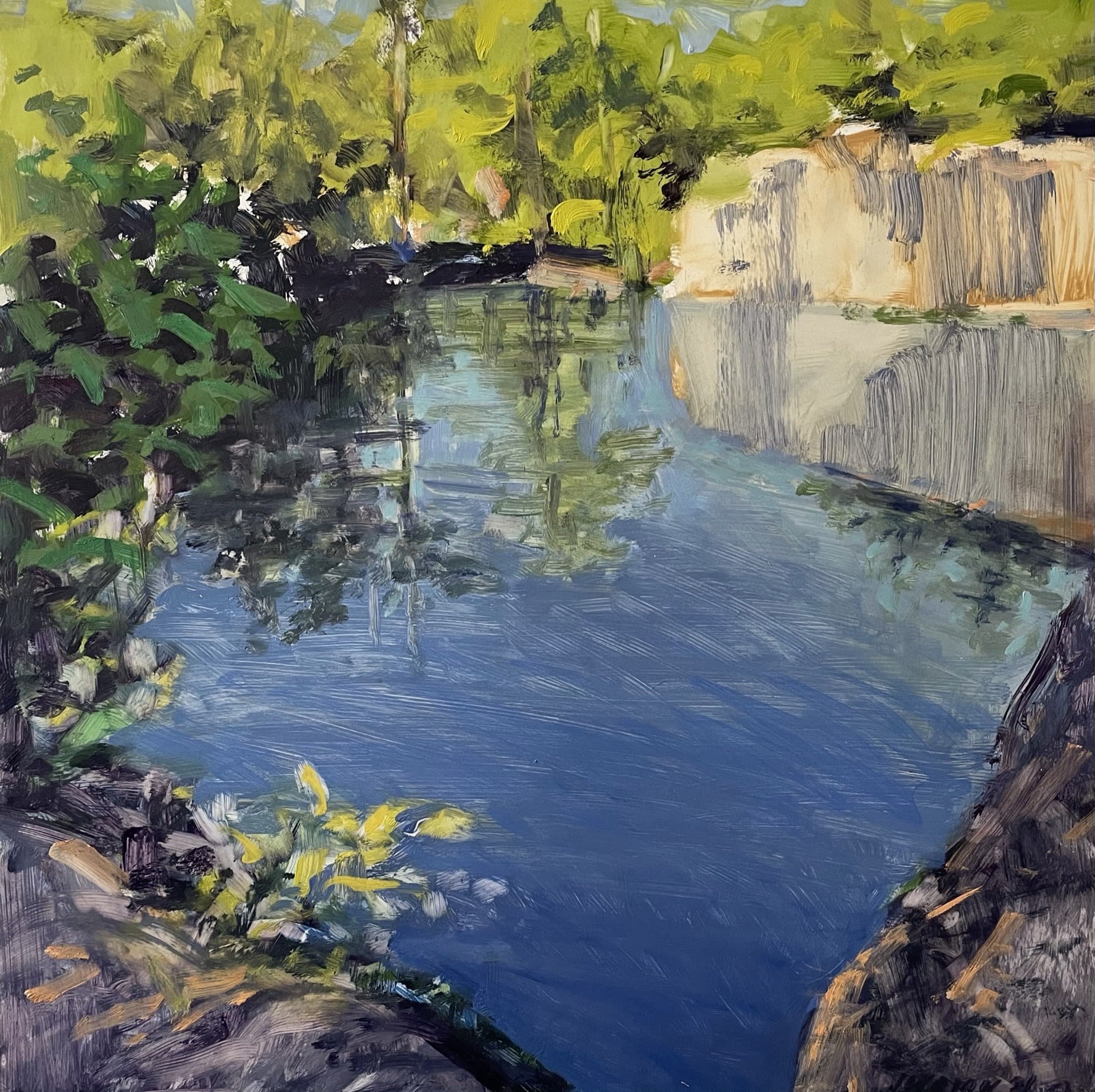 Nina Jerome, Morning Pool