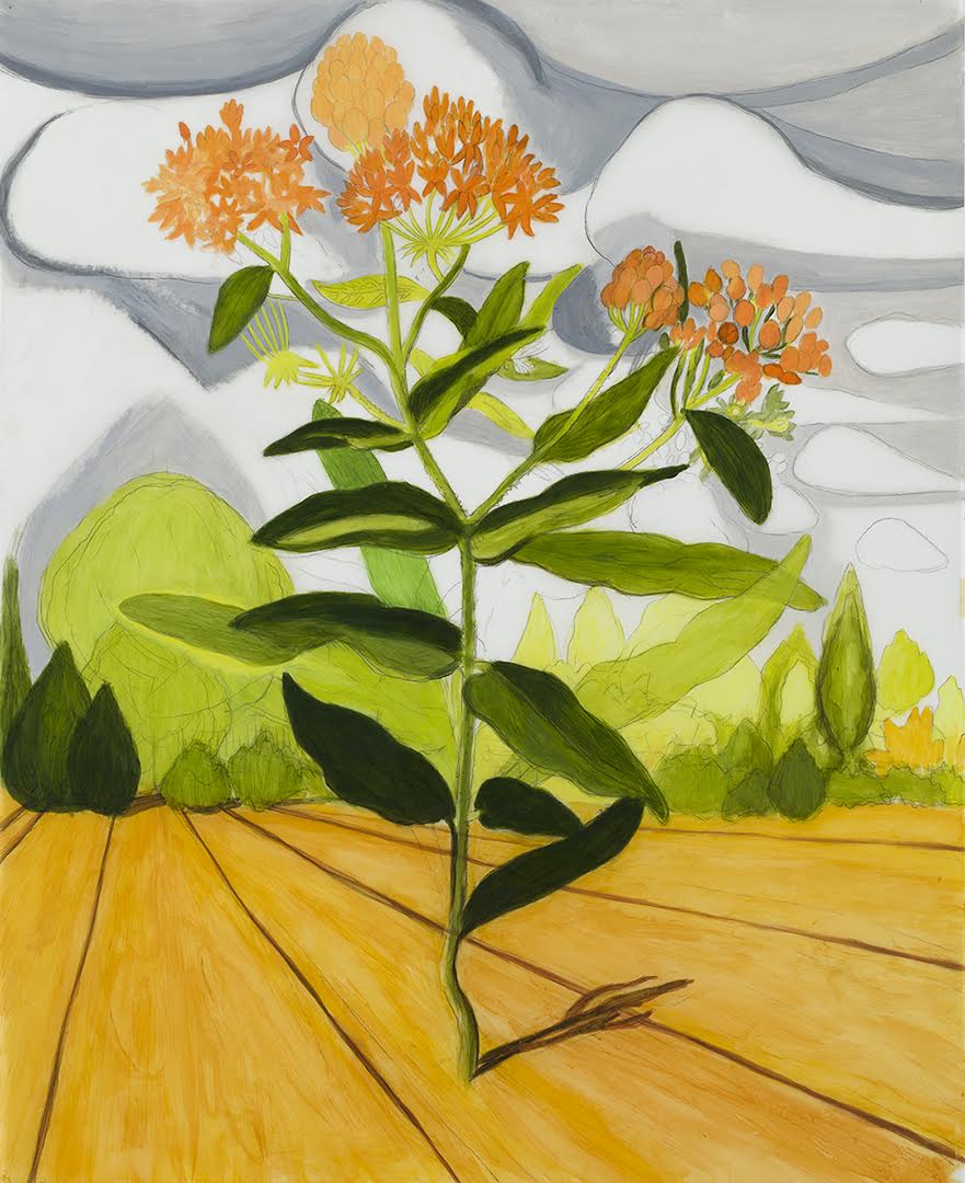 John Knight, Butterfly Weed and Field