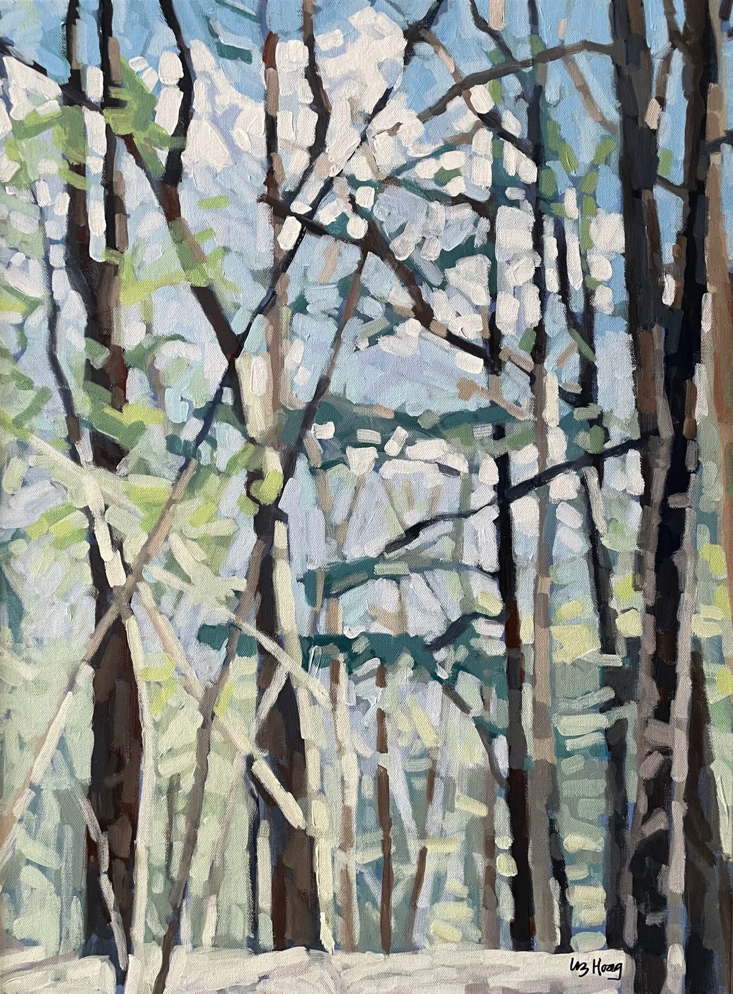 Liz Hoag, Clear Skies